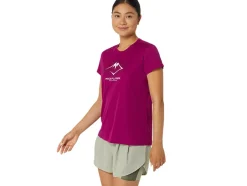 FUJITRAIL LOGO SS TOP