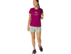 FUJITRAIL LOGO SS TOP