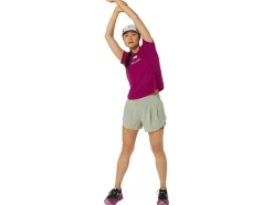 FUJITRAIL LOGO SS TOP